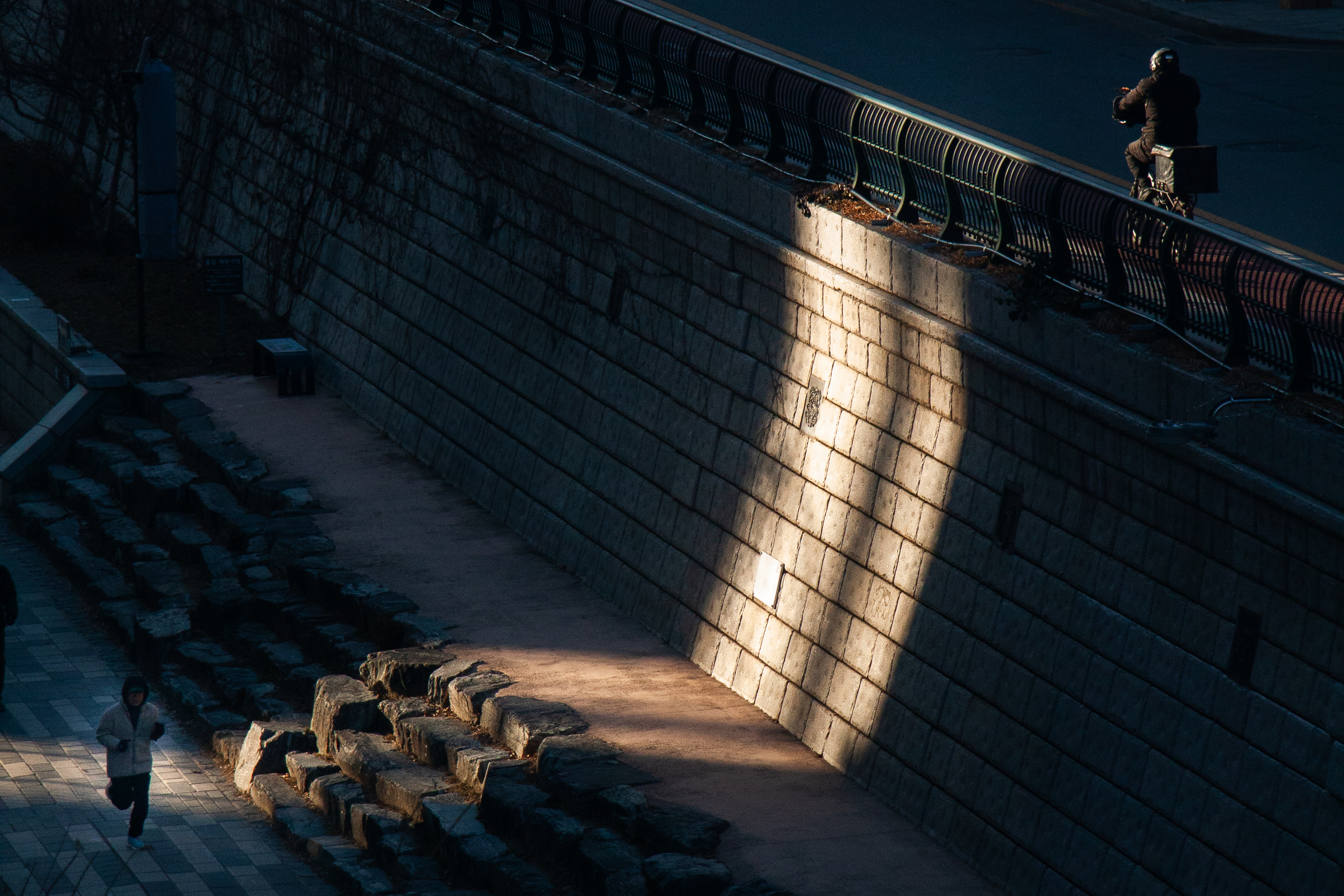 연영회 60기 신인사진전 [선(線): 보이다] 상세 이미지 3