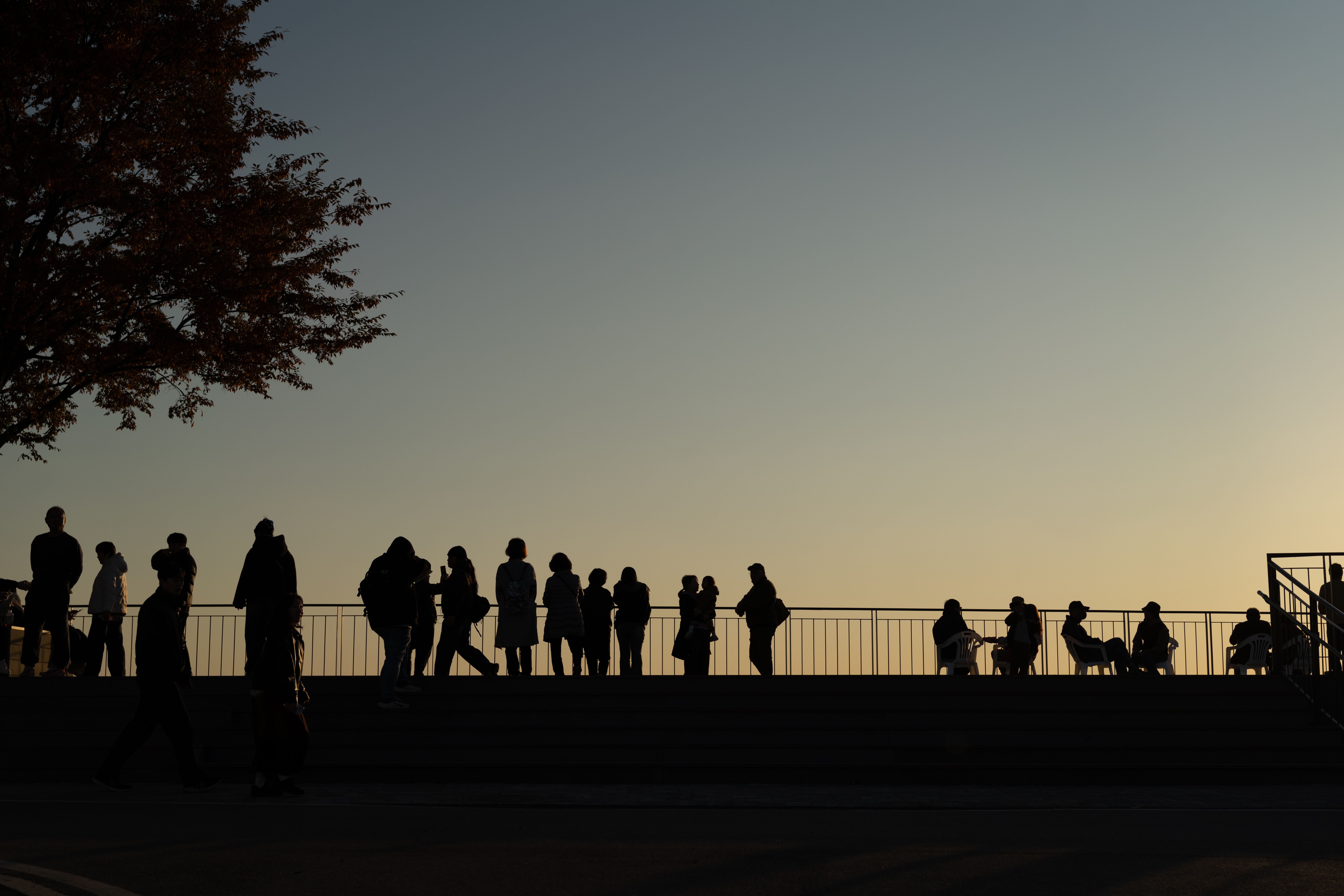 연영회 60기 신인사진전 [선(線): 보이다] 상세 이미지 55