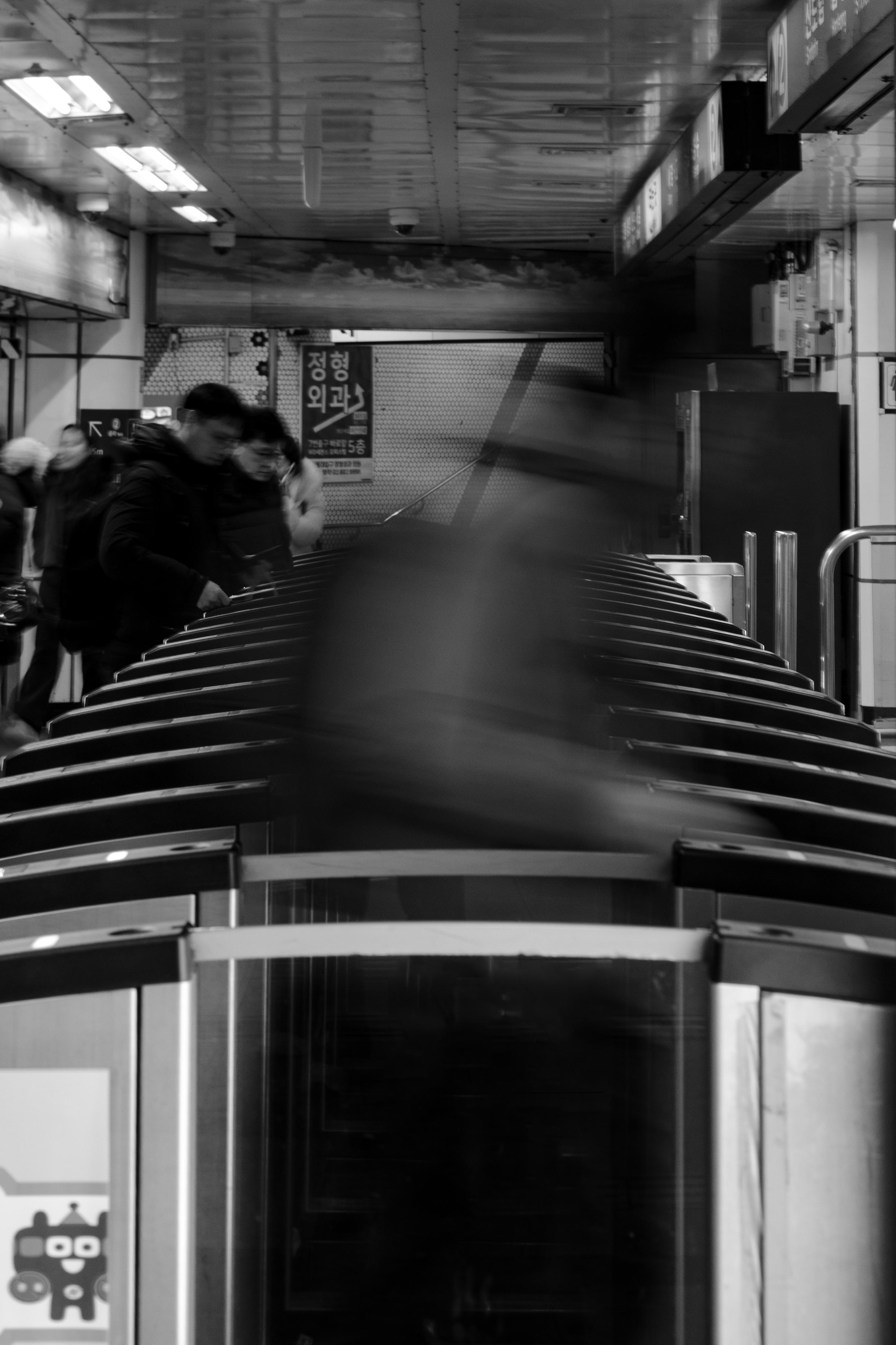 연영회 60기 신인사진전 [선(線): 보이다] 상세 이미지 31