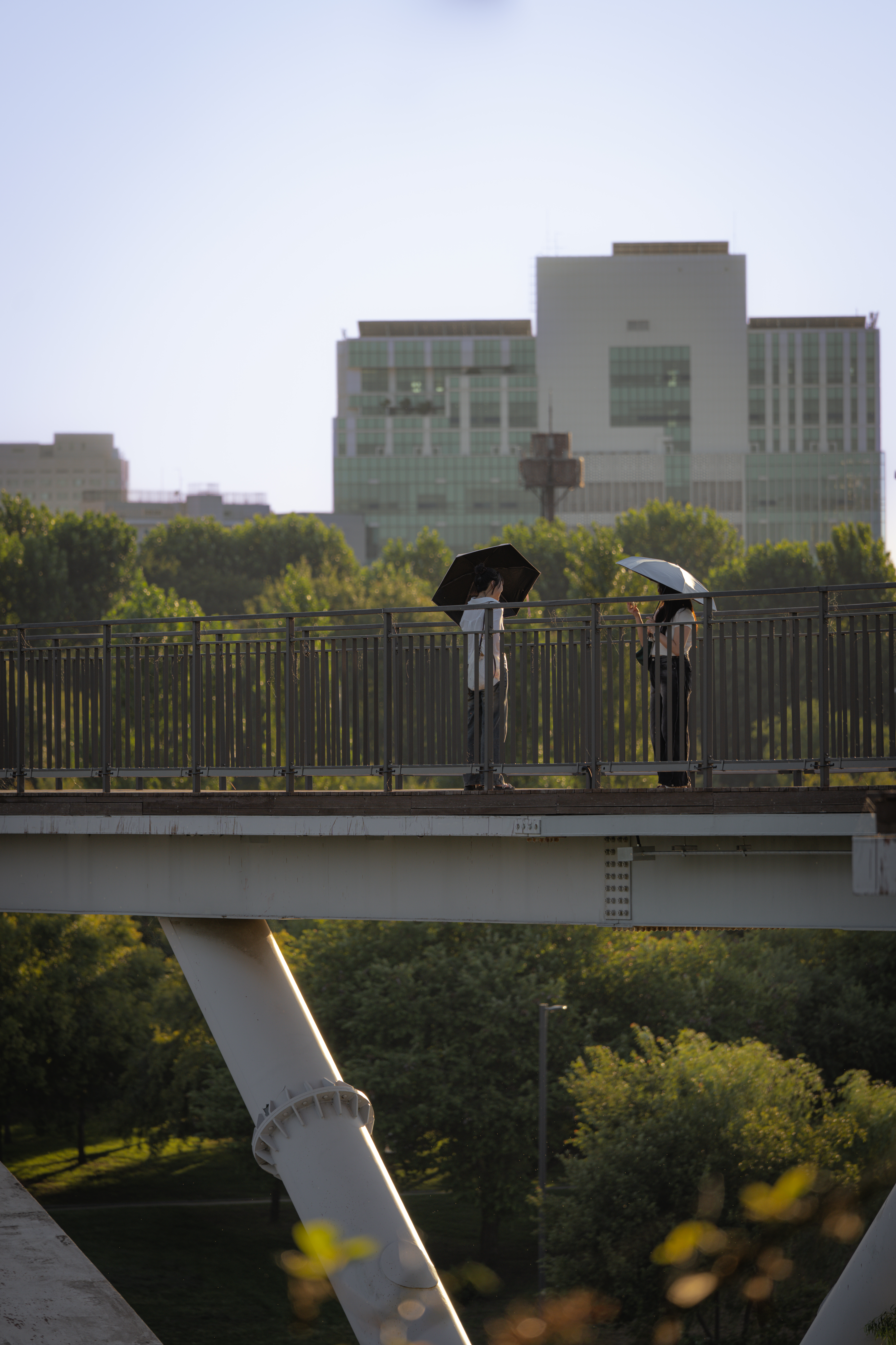 연영회 60기 신인사진전 [선(線): 보이다] 상세 이미지 49