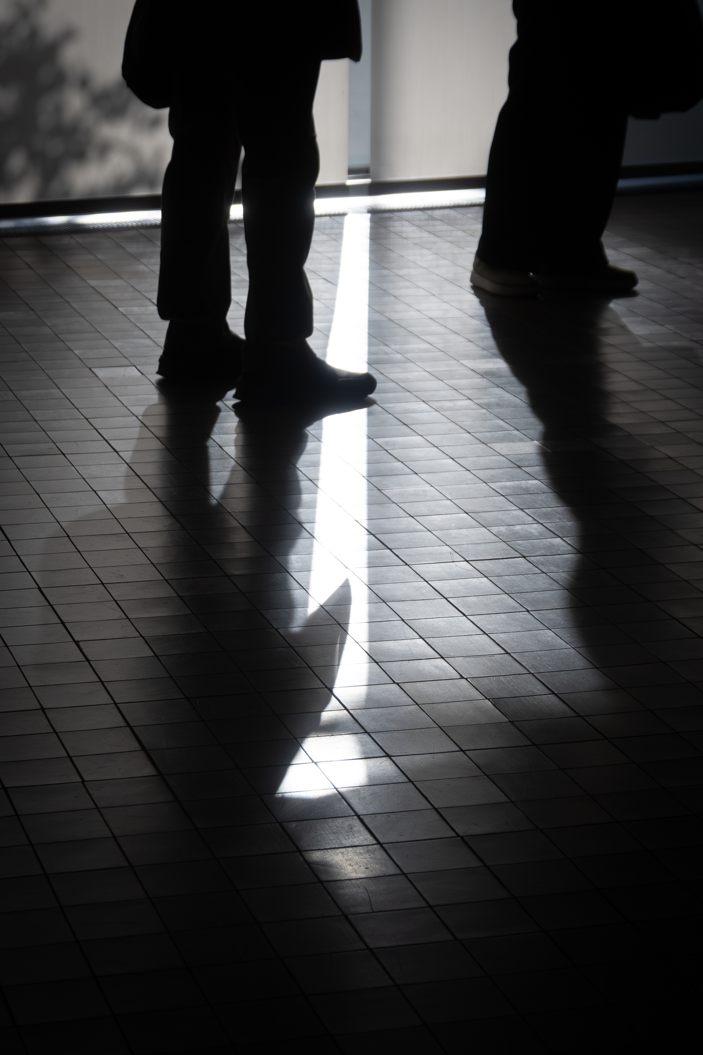 연영회 60기 신인사진전 [선(線): 보이다] 상세 이미지 24