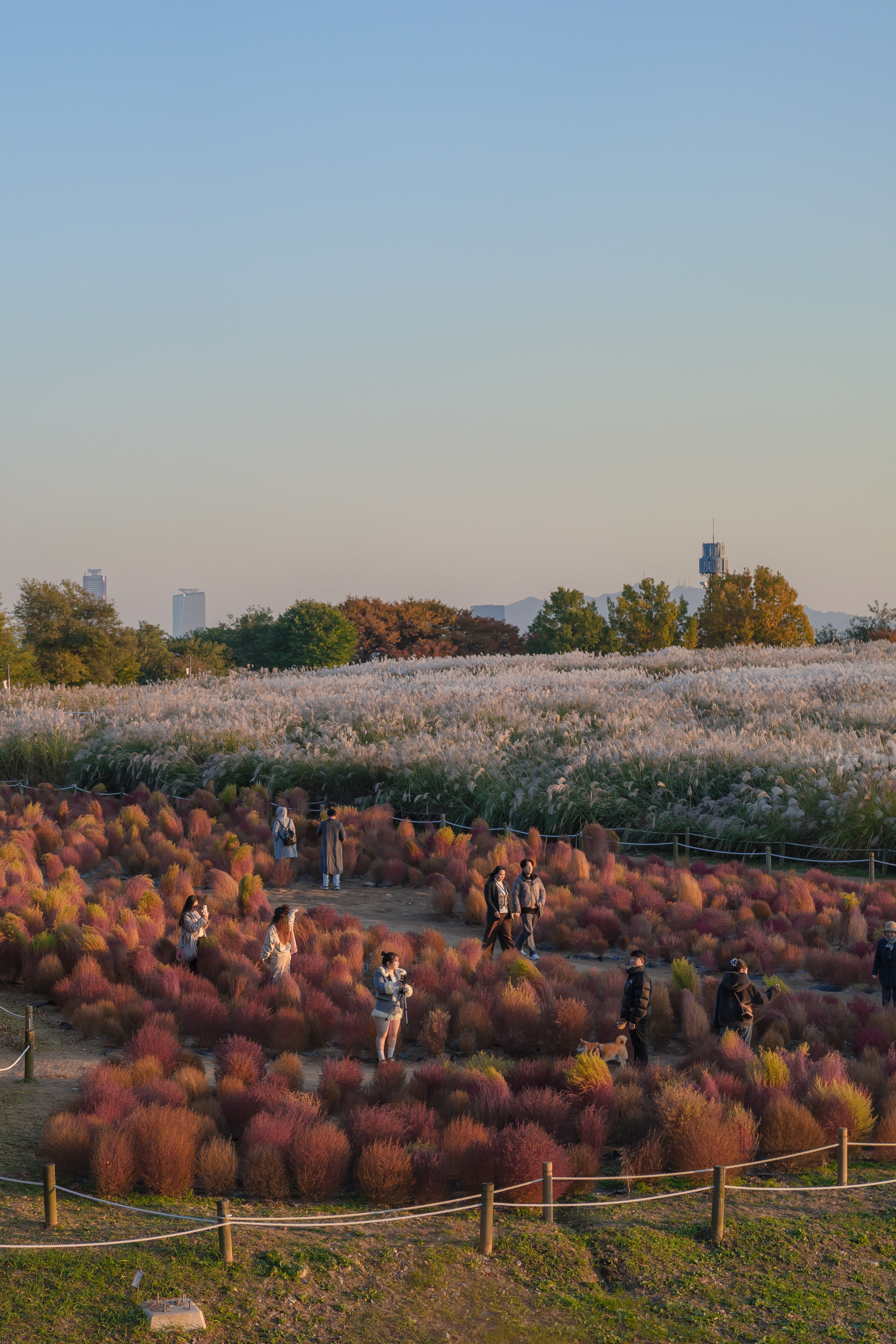 연영회 60기 신인사진전 [선(線): 보이다] 상세 이미지 54