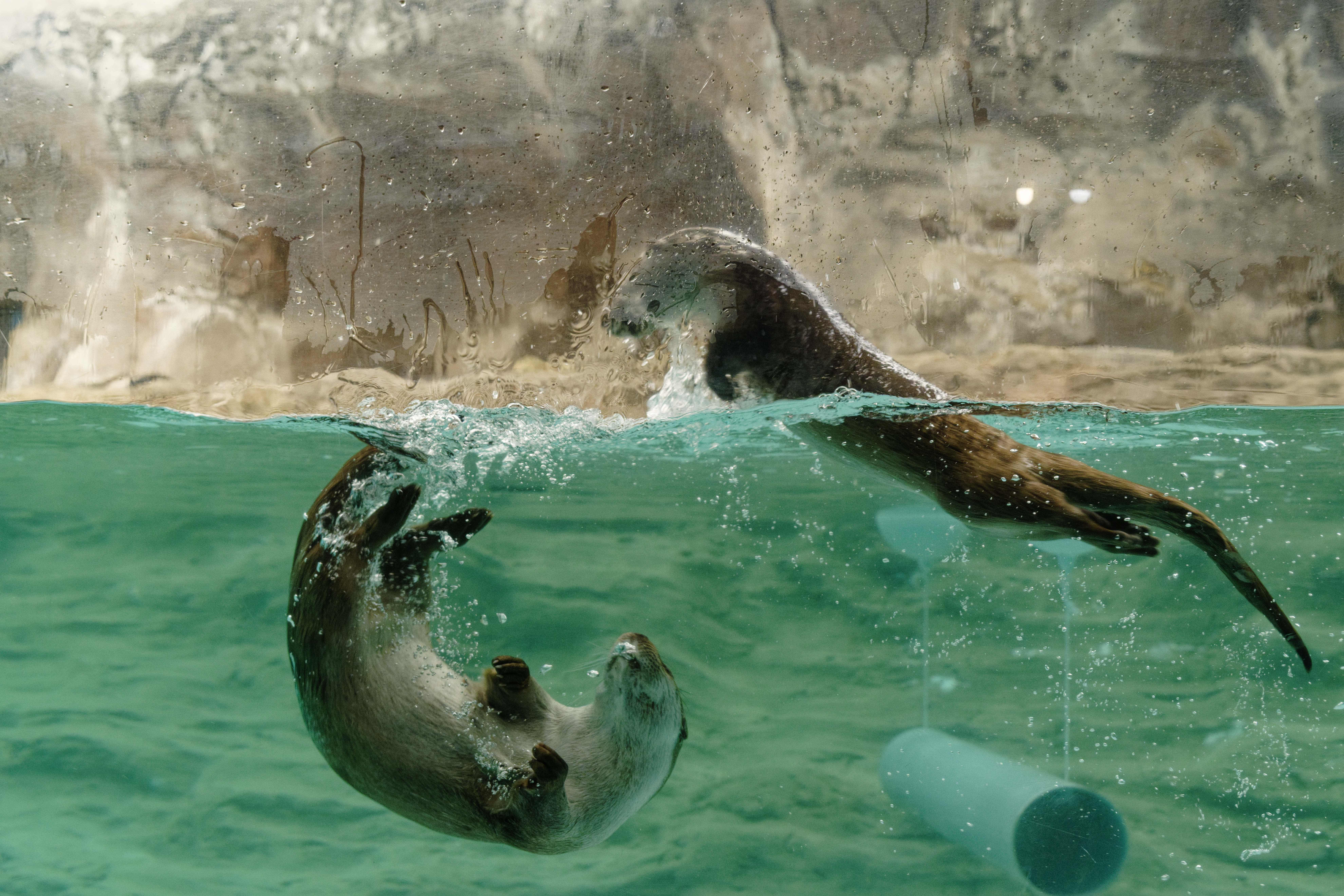 연영회 60기 신인사진전 [선(線): 보이다] 상세 이미지 41