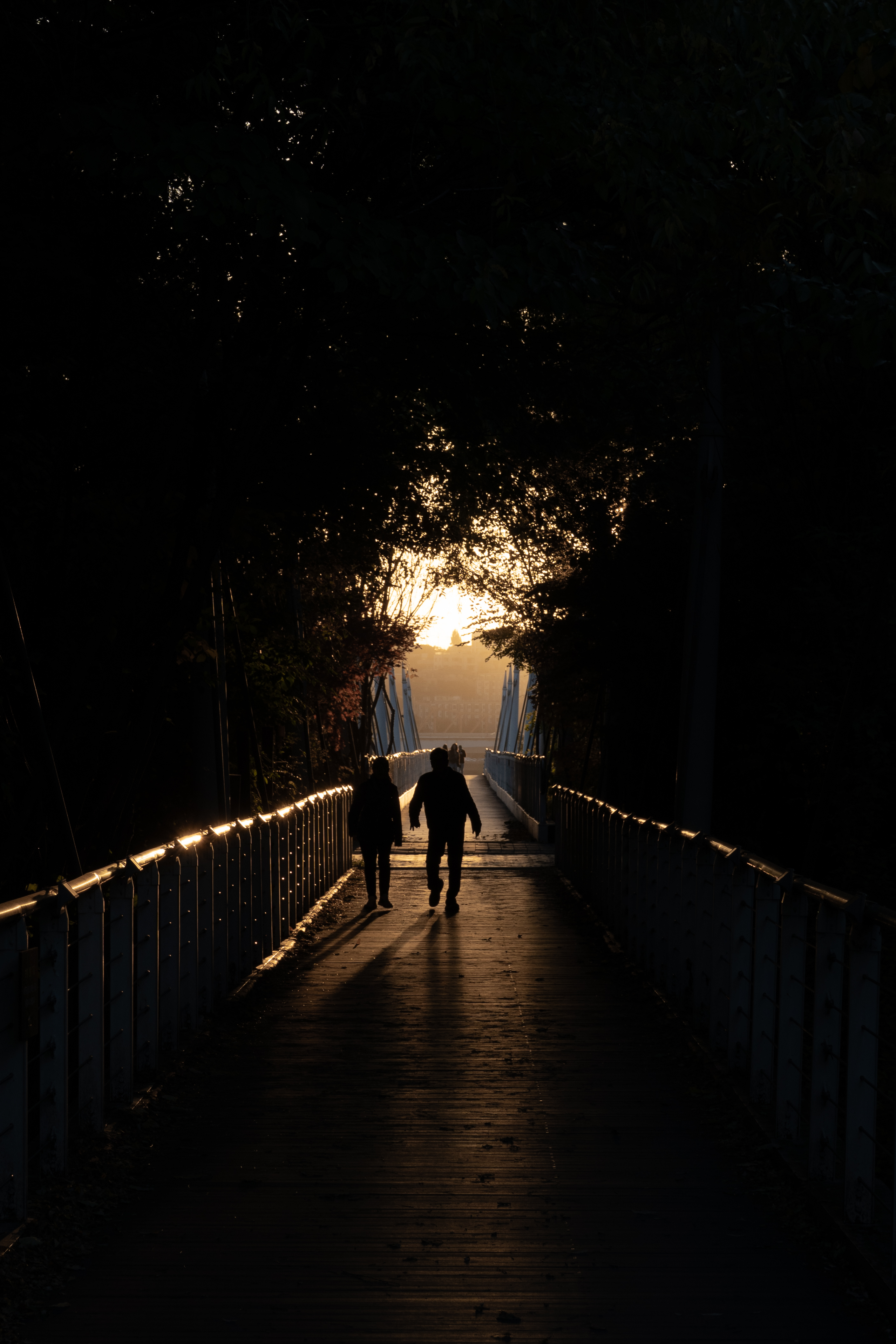 연영회 60기 신인사진전 [선(線): 보이다] 상세 이미지 44