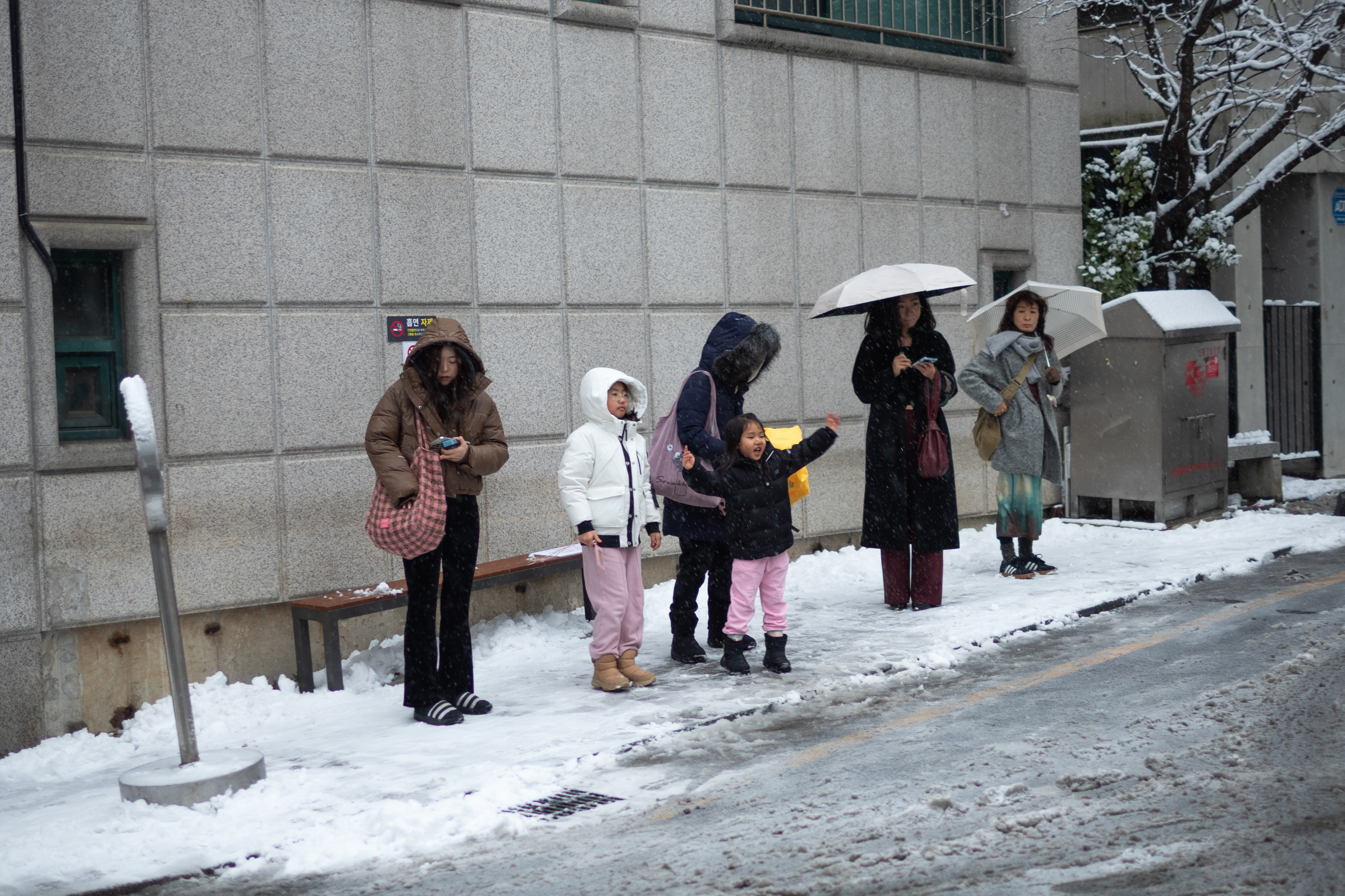 연영회 60기 신인사진전 [선(線): 보이다] 상세 이미지 33