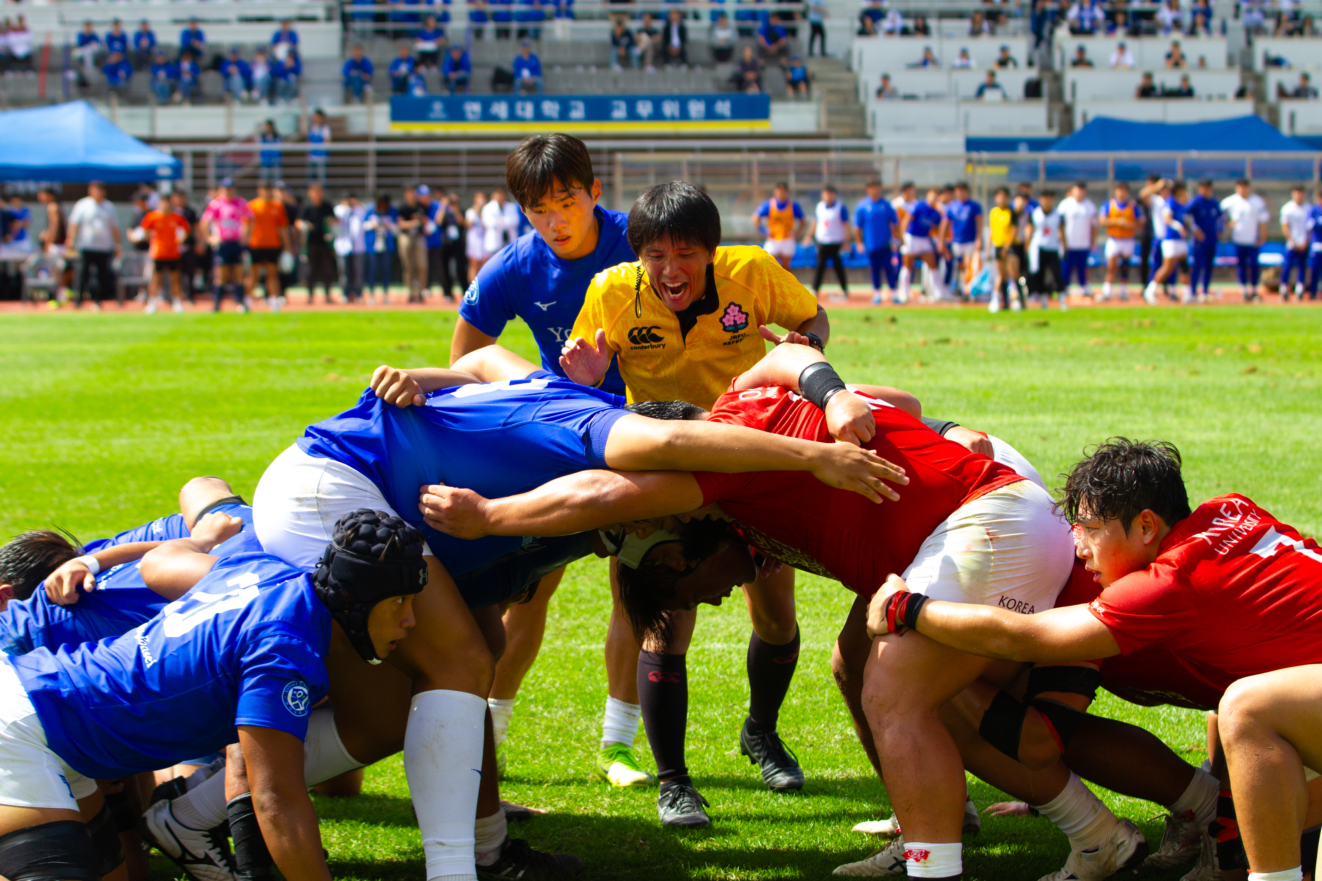 2025 정기 연고전 보도 사진전 상세 이미지 48