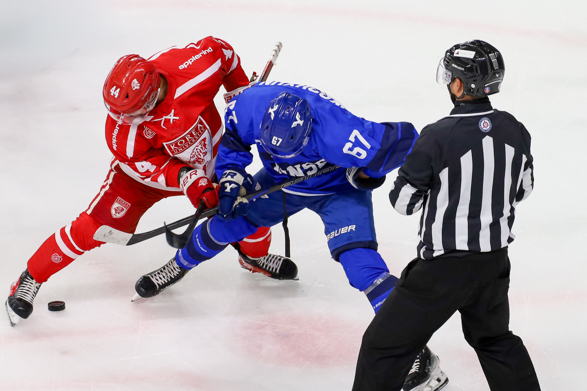 2025 정기 연고전 보도 사진전 상세 이미지 11