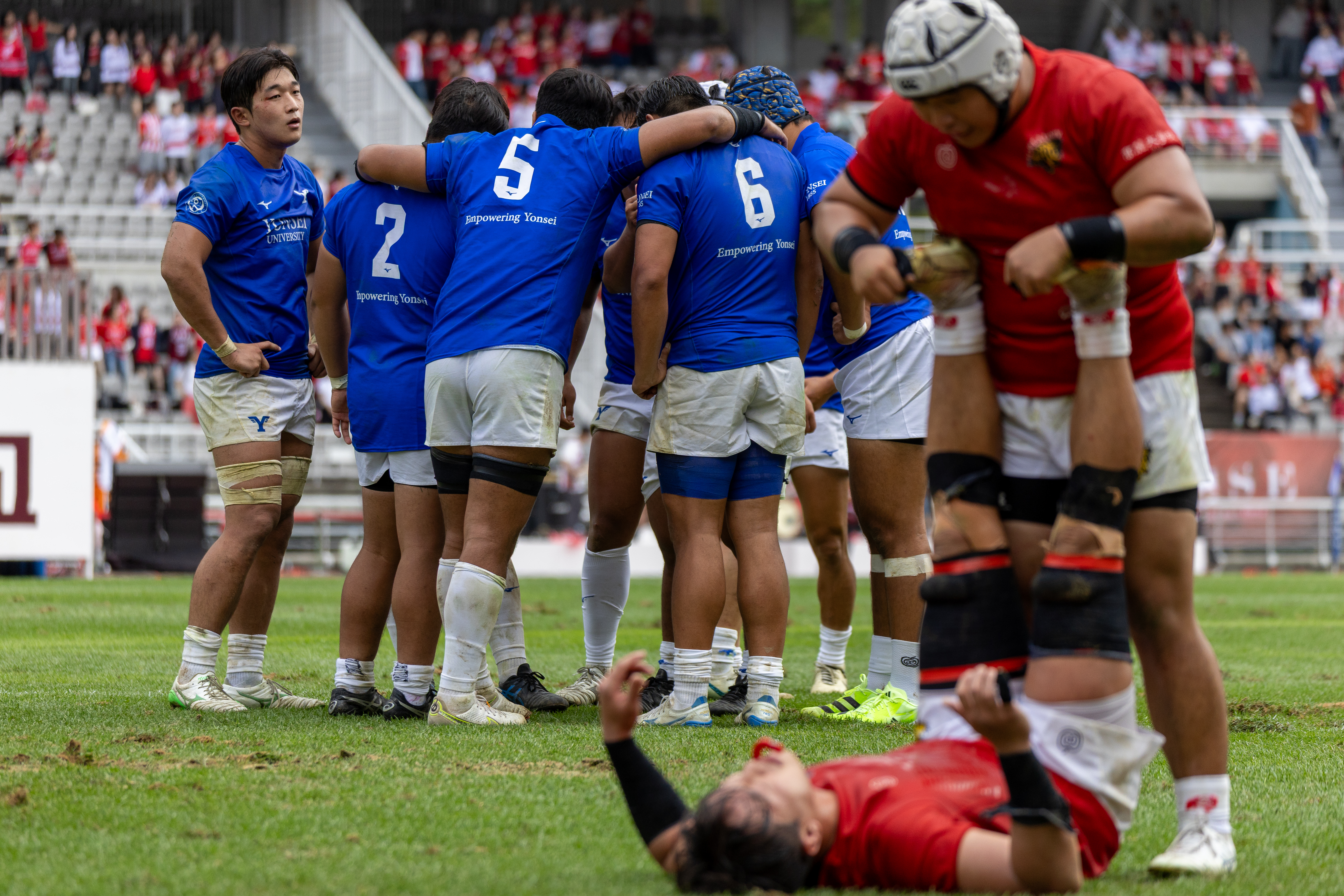 2025 정기 연고전 보도 사진전 상세 이미지 53