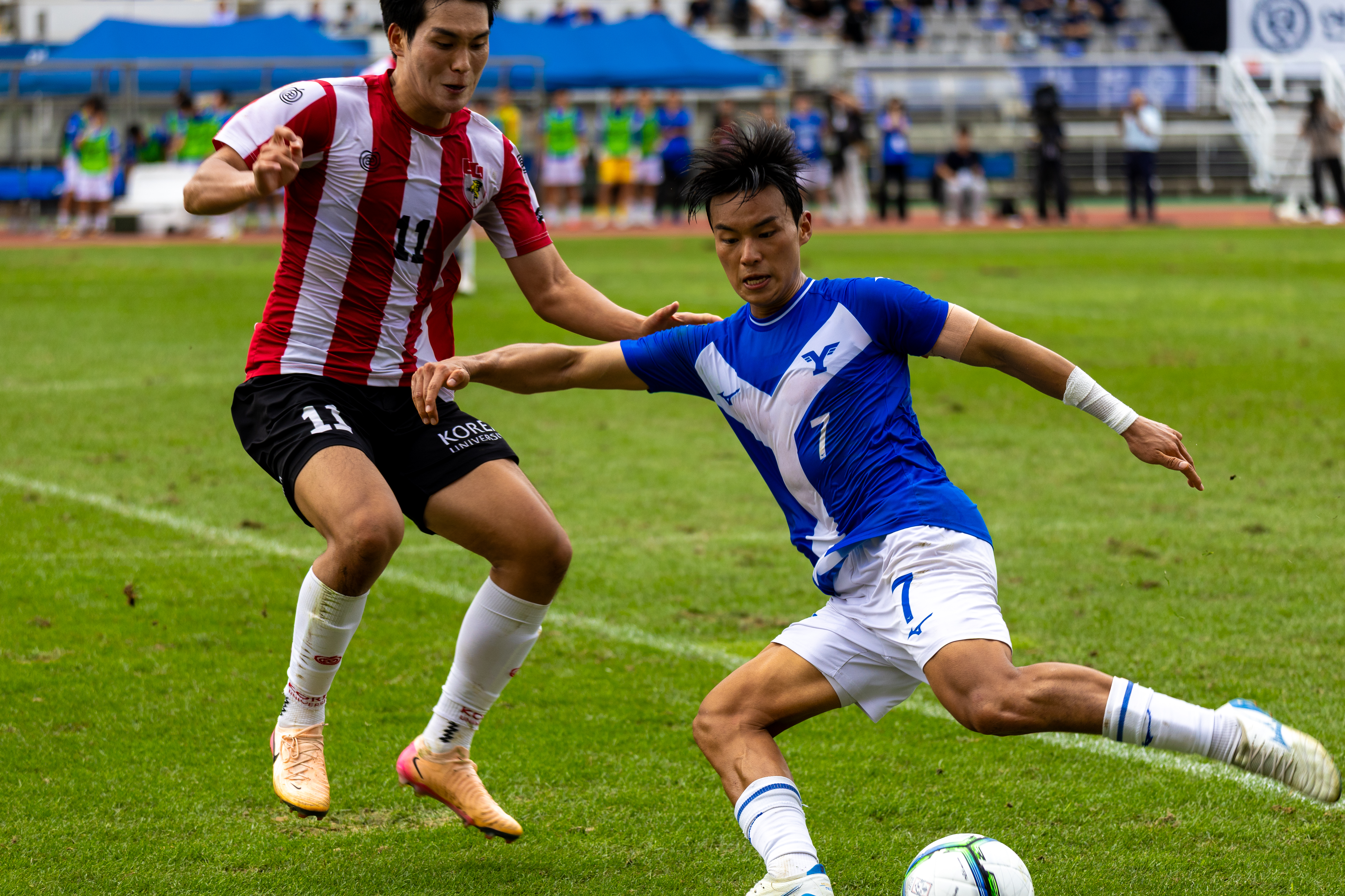 2025 정기 연고전 보도 사진전 상세 이미지 63