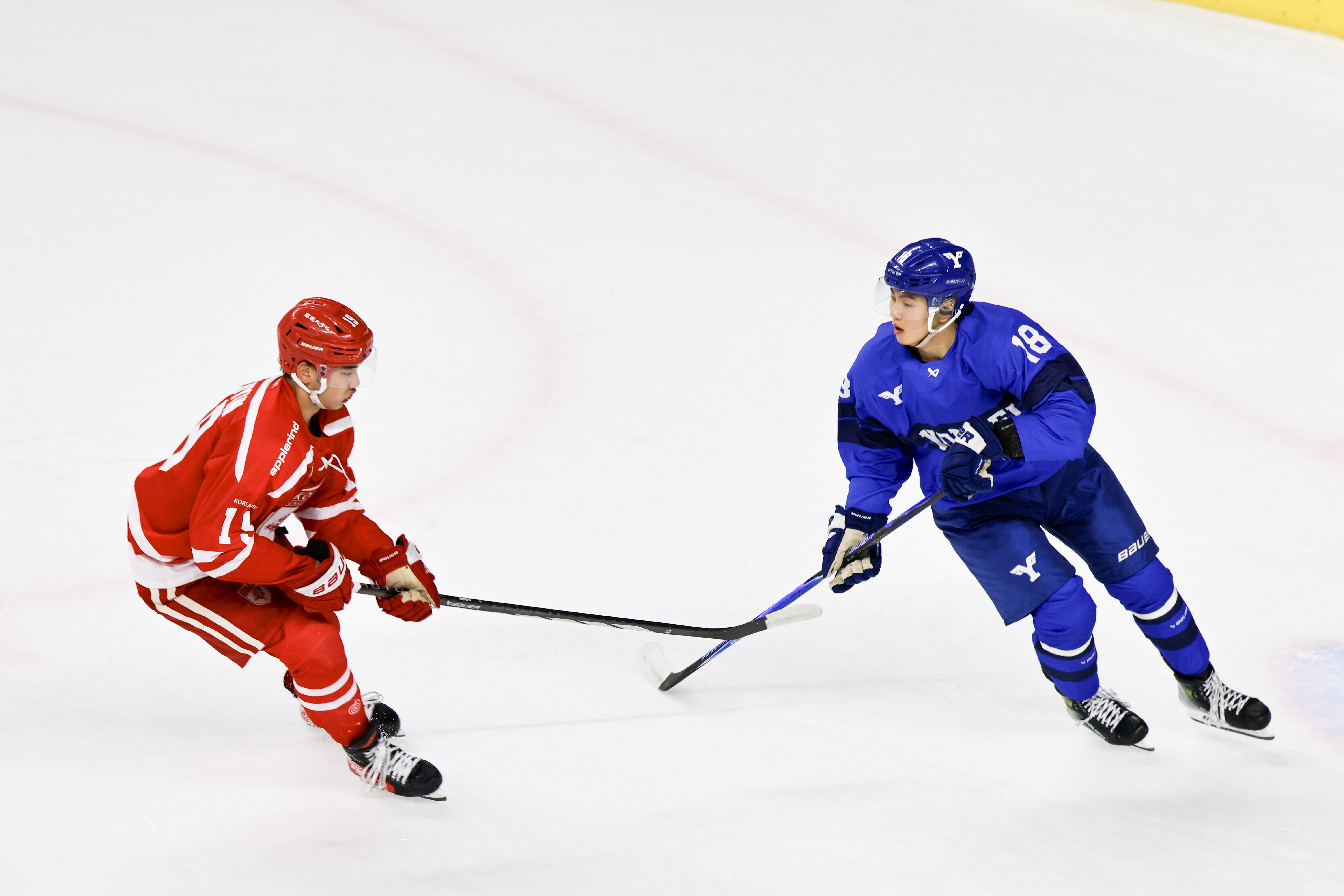 2025 정기 연고전 보도 사진전 상세 이미지 16